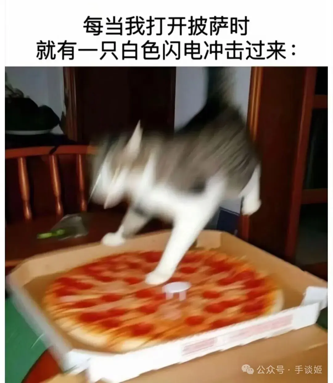 主角路飞二 主角路飞二